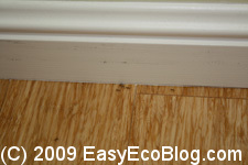 Smith and Fong bamboo flooring