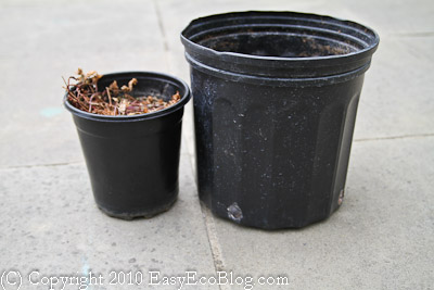 Recycle Plastic Nursery Pots