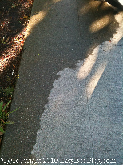 wet sidewalk, wasting sprinkler water