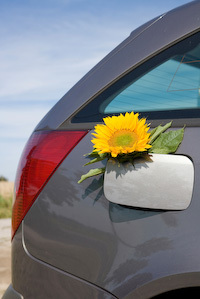 Hybrid Car