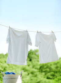organic clothes